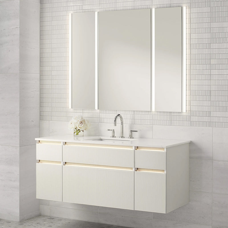 PL Portray Polished Edge and Magnification Mirror Medicine Cabinet - Wall Mount - 24W x 36H" Aluminum/Glass/Polished