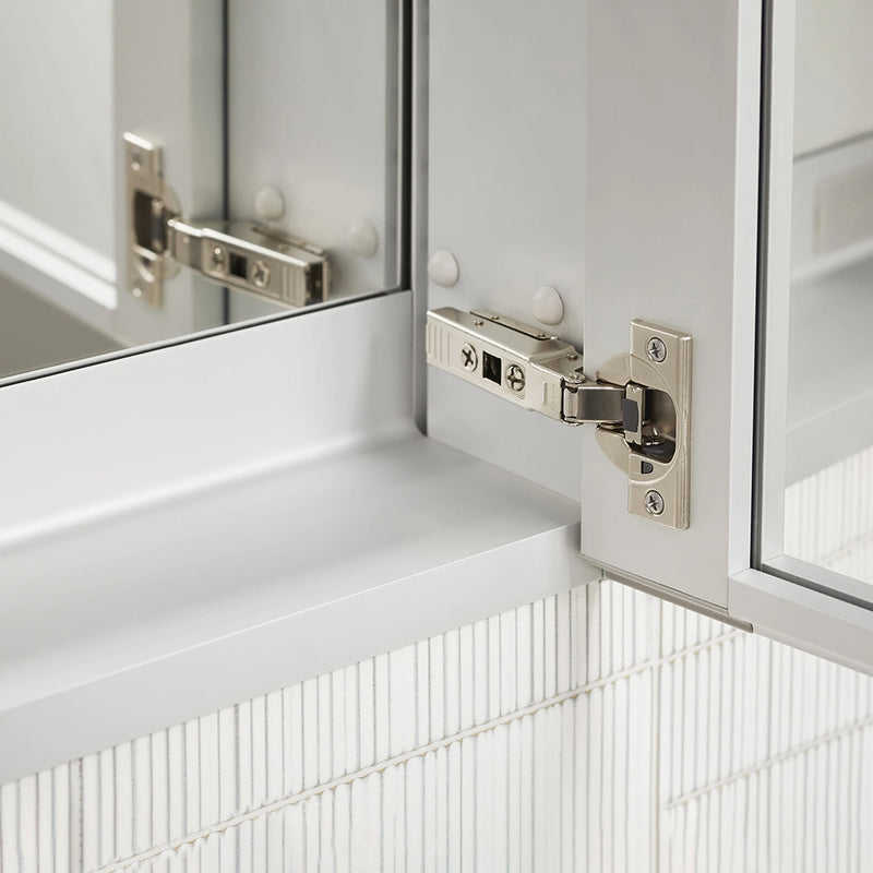 PL Portray Polished Edge and Magnification Mirror Medicine Cabinet - Wall Mount - 20W x 36H" Aluminum/Glass/Polished