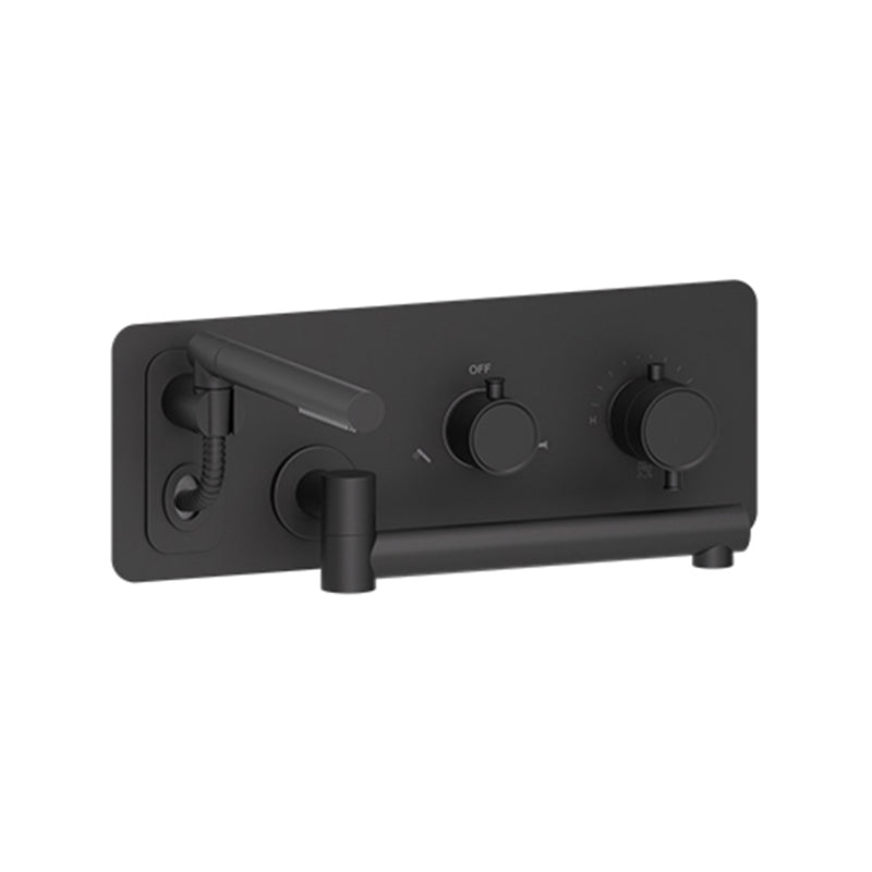 Alyss Complete Swivel Spout Tub Faucet - Wall Mount - 16" Brass/Matt Black