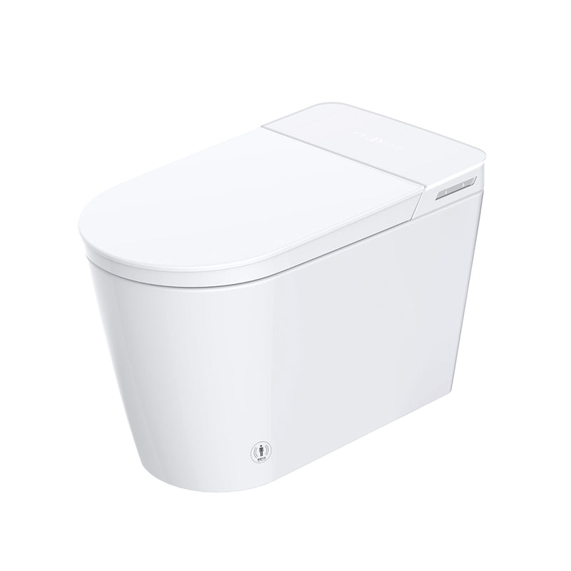 Subway Bidet Seat Tankless One Piece Toilet - Floor Mount - 16" Porcelain/White