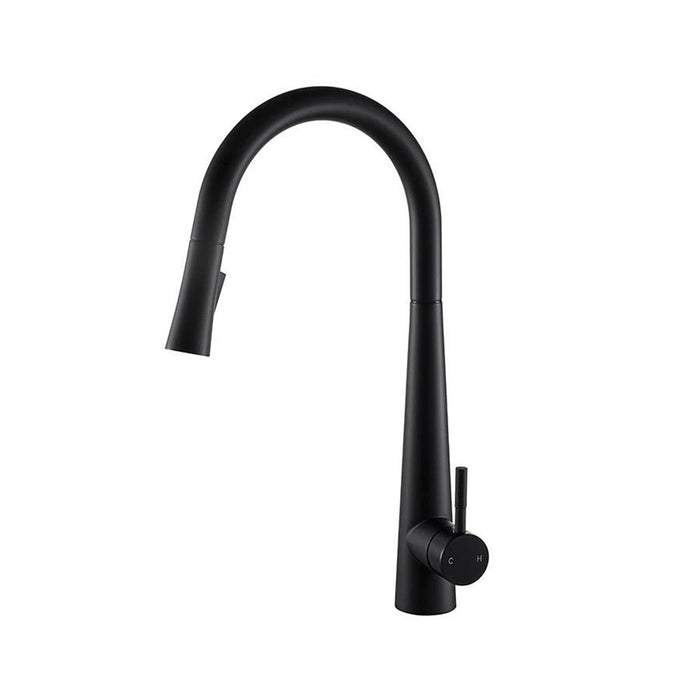 Metro Pull Out Kitchen Faucet - Single Hole - 18" Brass/Matt Black