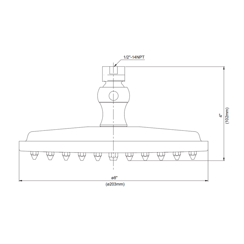 Classic Sharp Nozzle Shower Head - Wall Or Ceiling Mount Brass/Polished Chrome
