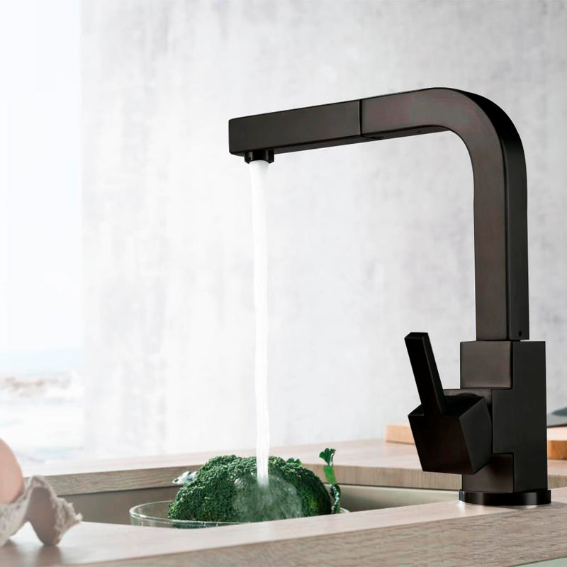 Deus Dual Spray Pull Out Kitchen Faucet - Single Hole - 12" Stainless Steel/Matt Black