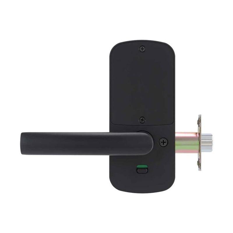 Focus LH Smart Locks - Door Mount - 6" Brass/Black
