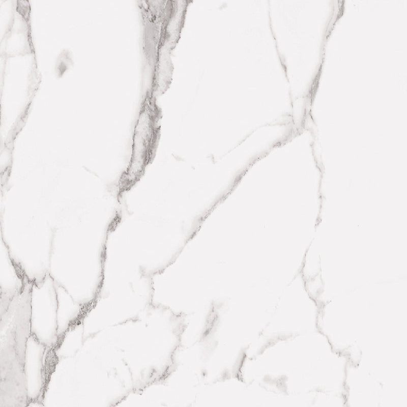 Statuary UP Floor Tile - Wall Or Floor Mount - 24 x 48" Porcelain/Unpolished