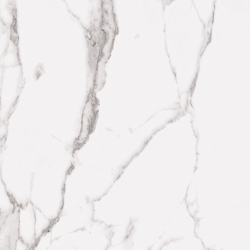 Statuary PO Floor Tile - Wall Or Floor Mount - 24 x 48" Porcelain/Polished