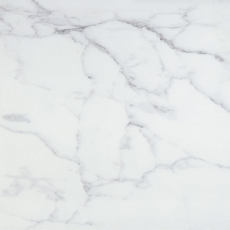 Slabs Carrara White UP Wall Tile - Wall Or Floor Mount - 48 x 48" Porcelain/Unpolished
