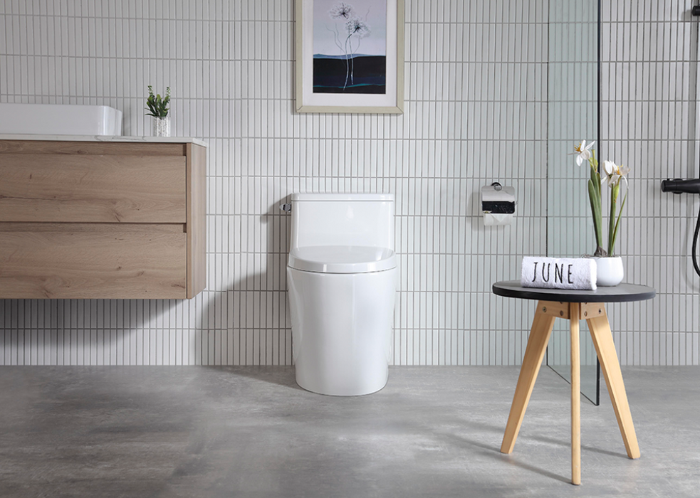 Luxe Toilet - Floor Mount -Porcelain/White